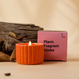 Indoor Durable Aromatherapy Soy Candles Bedroom - Home & beyond co