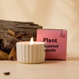 Indoor Durable Aromatherapy Soy Candles Bedroom - Home & beyond co
