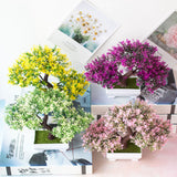 Bonsai potted plants - Home & beyond co