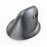Handheld Display Bluetooth Wireless Charging Dual-mode Grip Vertical Mouse - Home & beyond co