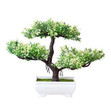 Bonsai potted plants - Home & beyond co
