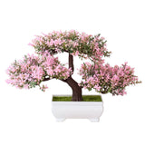 Bonsai potted plants - Home & beyond co