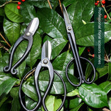 Professional Floral Scissors Flower Road Garden Gardening Tools - Home & beyond co