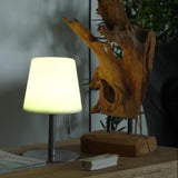Led Indoor Lighting Decorative Table Lamp USB Charging Short Leg - Home & beyond co