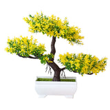 Bonsai potted plants - Home & beyond co