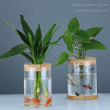 Indoor Green Plant Decoration Glass Bottle For Hydroponic Plants - Home & beyond co
